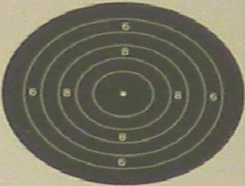 Stop motion video of a 25 yard .22 rifle target being shot from the prone position